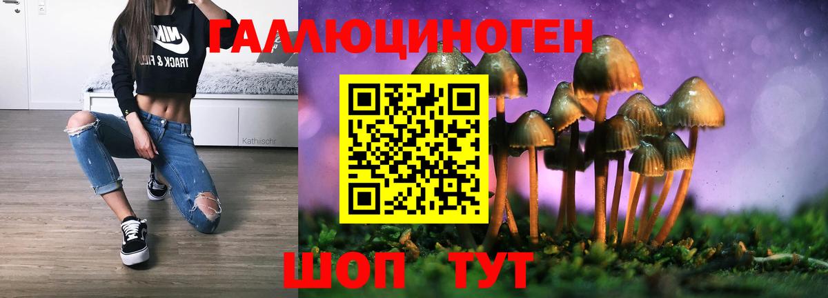 Галлюциногенные грибы мухоморы Осинники